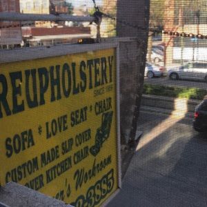 Meet your Posher, Iggy